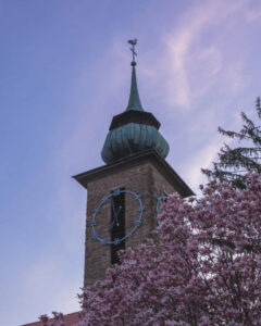 Magnolienblüte mit einem Teilausschnitt des Klosterturms und blauem Morgenhimmel